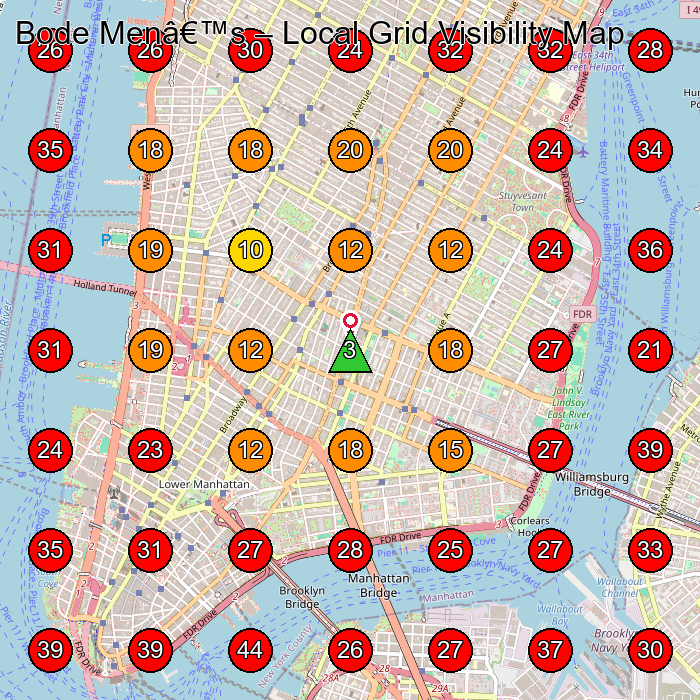 Bode Menâ€™s GeoGrid visibility map for Clothing Store in New York